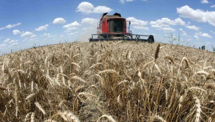 IMF, küresel gıda krizinin ithalat maliyetlerini artırması konusunda uyardı
