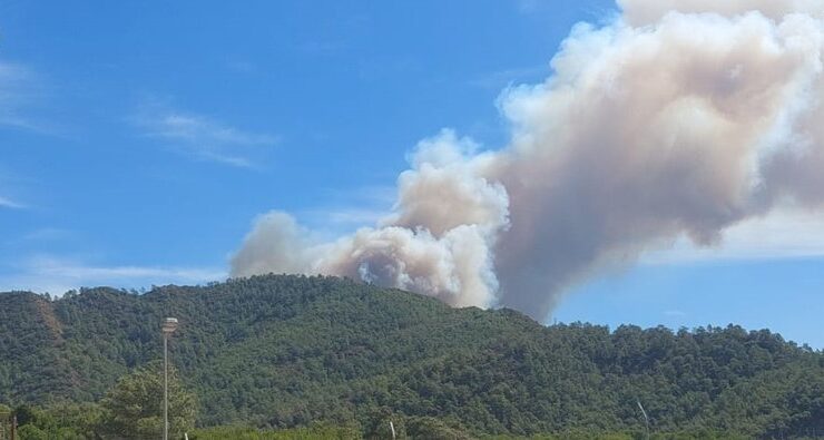 Marmaris’teki orman yangını rüzgarın etkisiyle yayılıyor