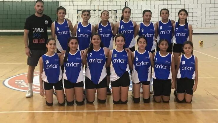 Voleybol Ligleri