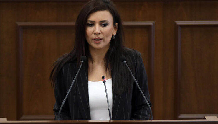 Özdenefe: Yoksulluk gittikçe derinleşiyor