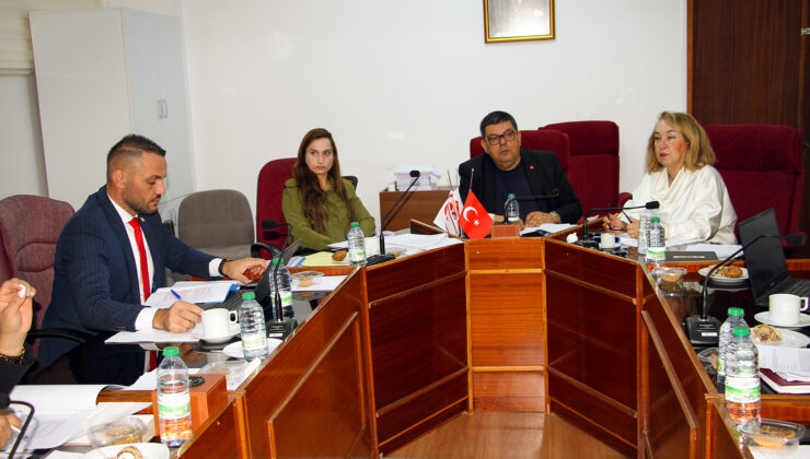 Meclis komitesinde zeytin ve yüksek öğrenimle ilgili yasalar ele alındı