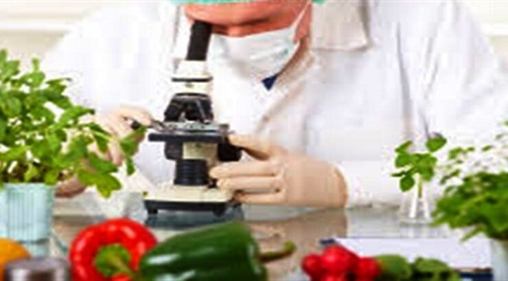 Tarım Dairesi gıda denetim sonuçlarını açıkladı