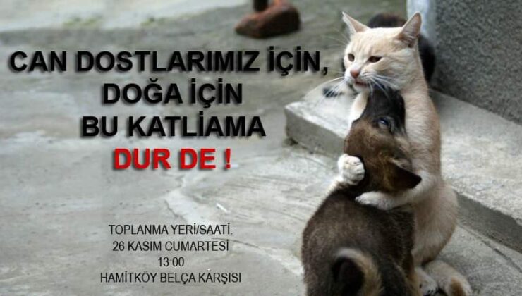 Hamitköy’de cumartesi “hayvan katliamına dur de” eylemi düzenleniyor