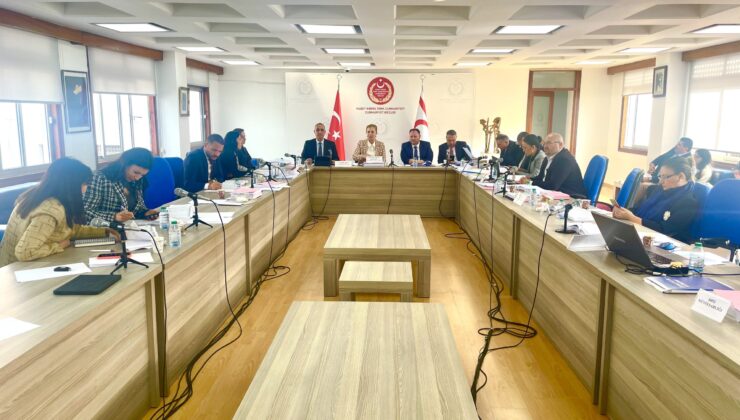 Kamu Hizmeti Komisyonu ve İçişleri Bakanlığı bütçeleri komiteden geçti