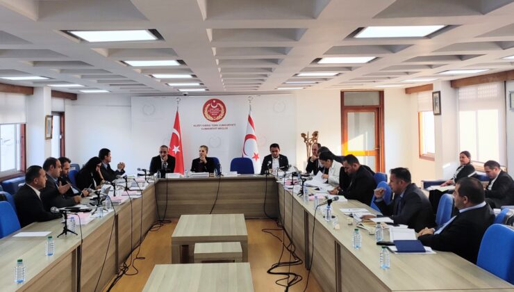 Tarım Bakanlığı bütçesi komitede onaylandı