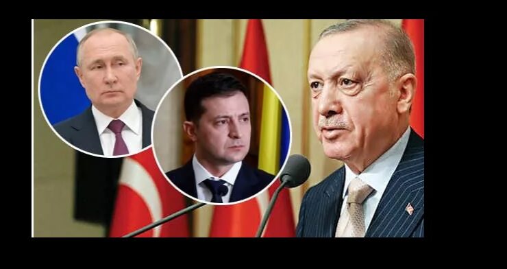 Erdoğan, tahıl krizini çözmek amacıyla Putin ve Zelenskiy ile görüşecek