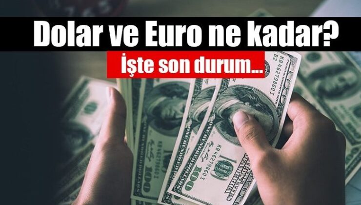 Dövizde kıpırdanma başladı: Euro 20 TL’yi geçti