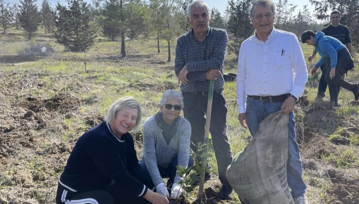 Lefkoşa Gençlik Ormanı’nda fidan dikme etkinliği düzenlendi