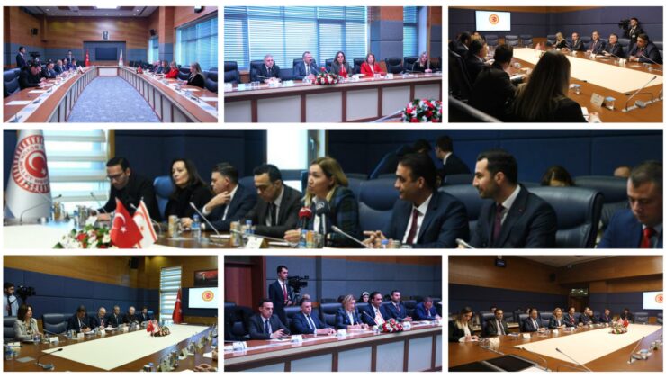 Cumhuriyet Meclisi Hukuk, Siyasi İşler ve Dışilişkiler Komitesi, TBMM İhtisas Komisyonları ile görüştü