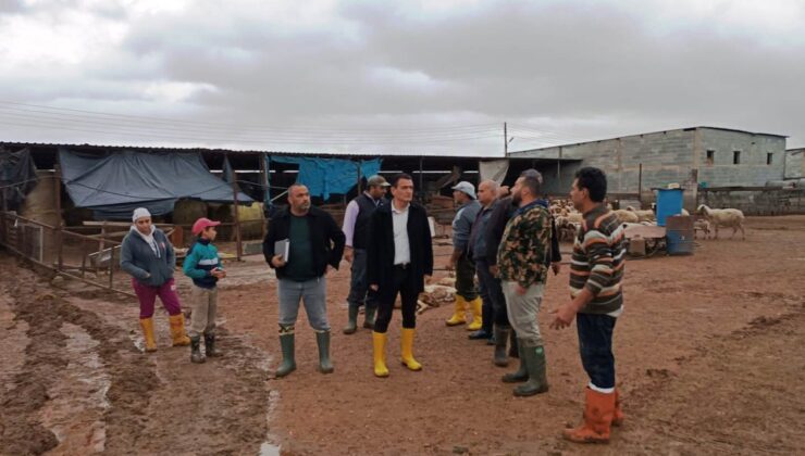 Bakan Oğuz, şiddetli yağışlardan etkilenen Mesarya bölgesinde incelemelerde bulundu