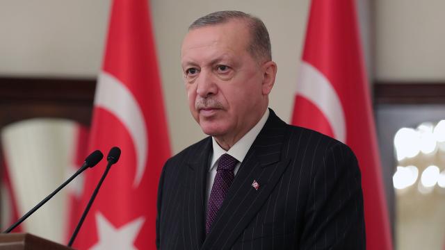 Erdoğan: 3 ay süreyle OHAL kararı aldık