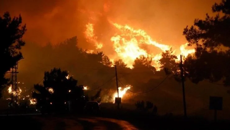 Orman yangınına neden olmanın cezası 100 asgari ücret ve 15 yıl hapis cezası…
