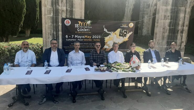 Kıbrıs İpek Kozası Festivali başlıyor