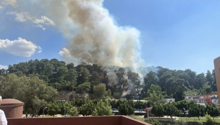 Antalya’da orman yangını