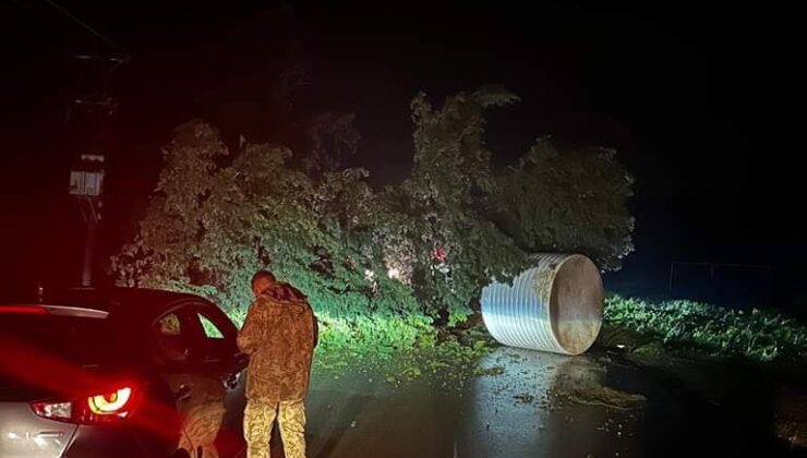 Kuzucuk-Boğaziçi anayolunda ağaçlar devirdi, yol trafiğe kapandı