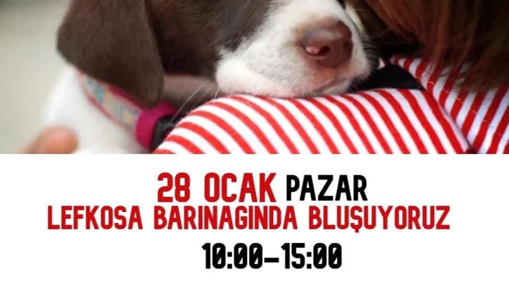 Altın Patiler Derneği 28 Ocak Pazar günü LTB’nin Hayvan Barınağı’nda etkinlik düzenleyecek