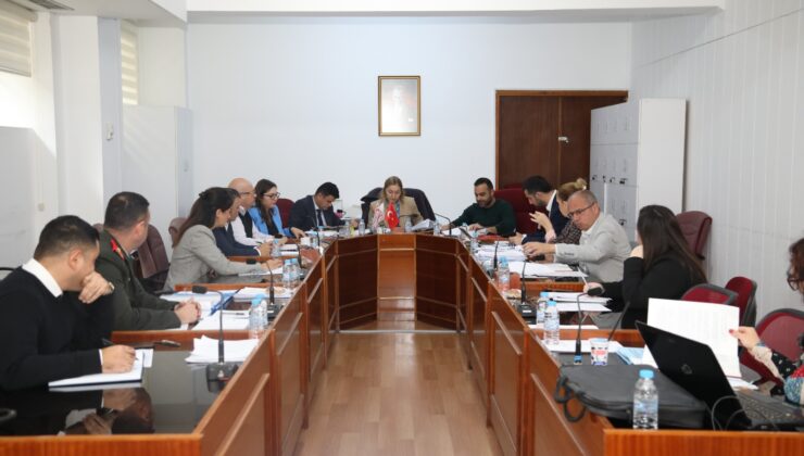 Cumhuriyet Meclisi, Hukuk, Siyasi İşler ve Dışilişkiler Komitesi toplandı
