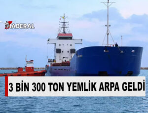 Türkiye’den yemlik hibe arpanın ilk sevkiyatı Gazimağusa Limanı’na geldi