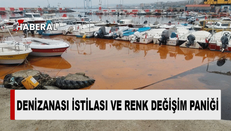 Marmara Denizi büyük tehlikede!