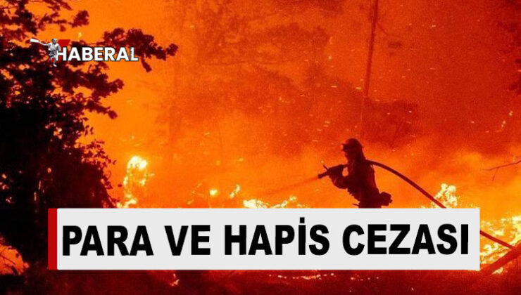 Güney Kıbrıs’ta ormanda yangın çıkarana ağır ceza
