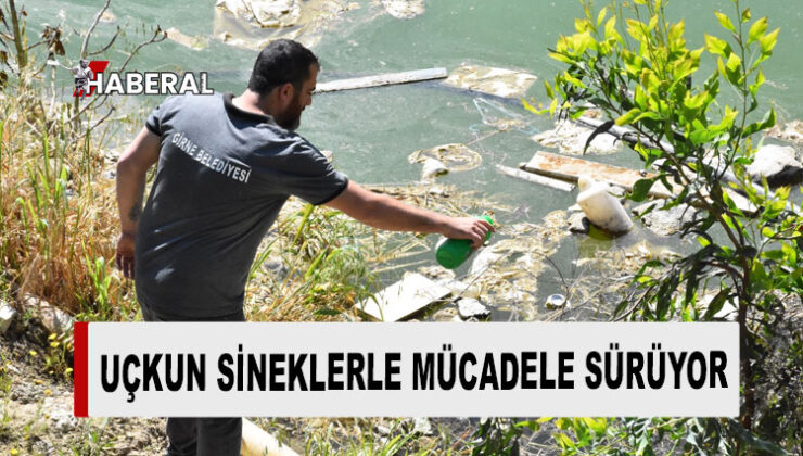 Girne Belediyesi ilaçlama çalışmalarına devam ediyor
