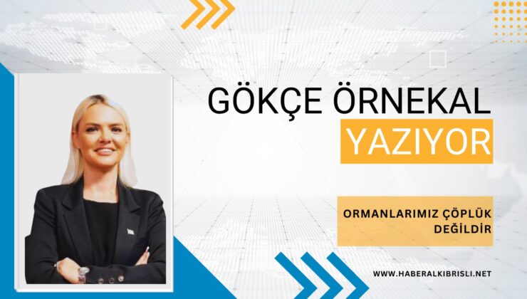 Ormanlarımız çöplük değildir!