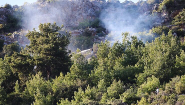 Alanya’da ormanlık alanda çıkan yangın kontrol altına alındı