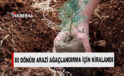 Bafra’da 80 dönüm orman arazisi ağaçlandırma yapılması amacıyla kiralandı