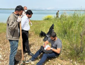 Atatürk Barajı’ndaki martı ölümleri inceleme altında