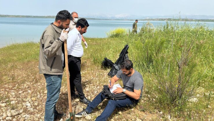 Atatürk Barajı’ndaki martı ölümleri inceleme altında