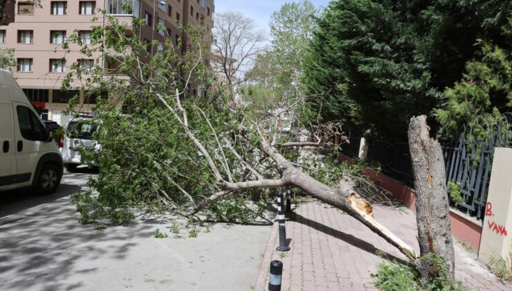 Konya’da fırtına çatıları uçurdu, ağaçları devirdi