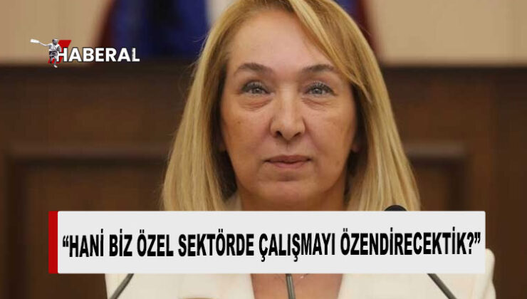CTP milletvekili Besim’den bayram tatilinde “kamu-özel ayrımı” eleştirisi