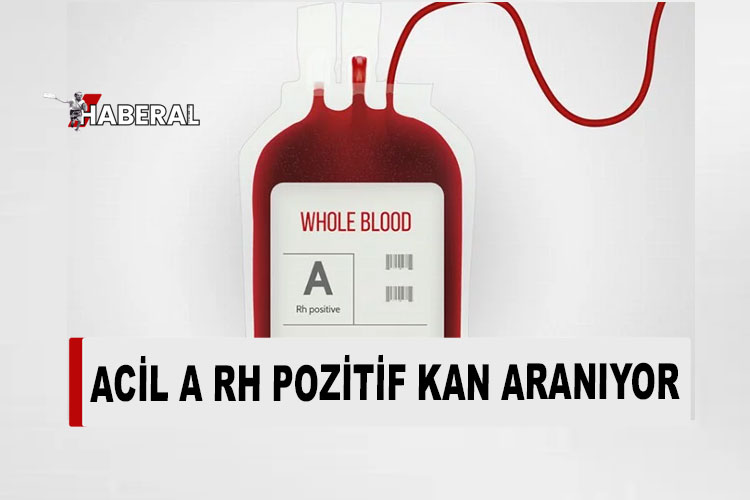 İrem Nur Yurtseven için “A Rh Pozitif” kan aranıyor