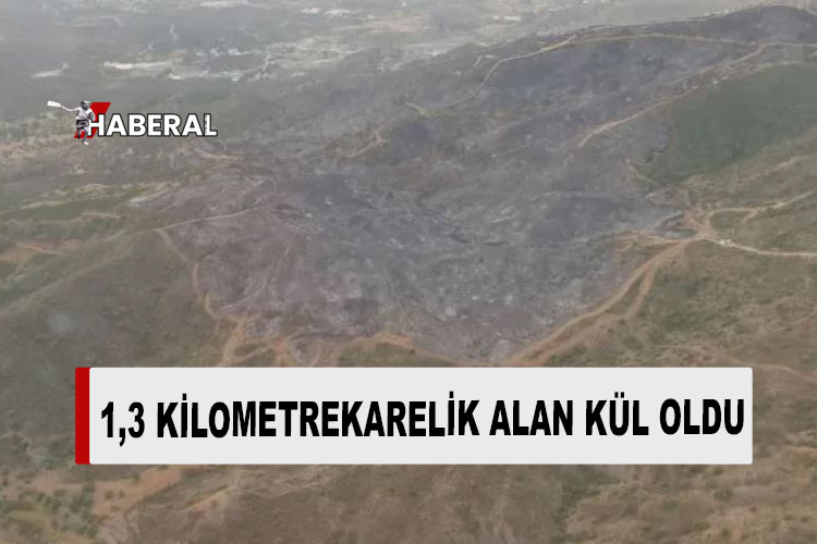 Limasol Devlet Ormanı’ndaki yangın tamamen kontrol altında