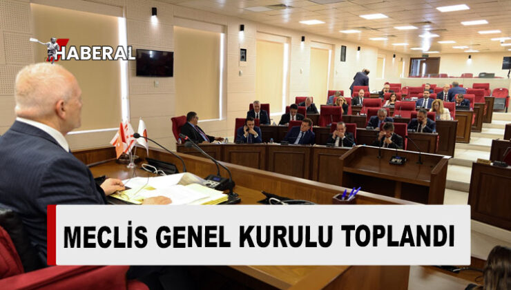 Meclis Genel Kurulu denetim toplandı