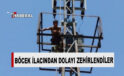Güney Kıbrıs’ta elektrik kablosu tamiri yapan işçiler zehirlendi
