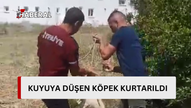 Kuyuya düşen köpek kurtarıldı…