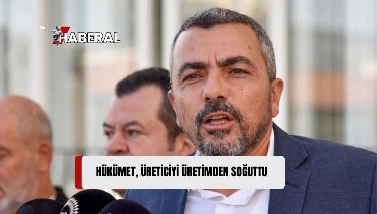 Ahmet Serdaroğlu, İthal Et Kararını Eleştirdi