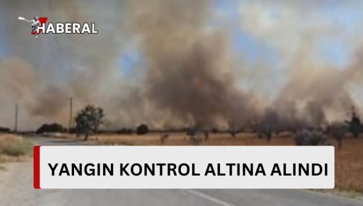 Ulukışla’da çıkan, rüzgarın da etkisiyle büyüyen yangın kontrol altına alındı
