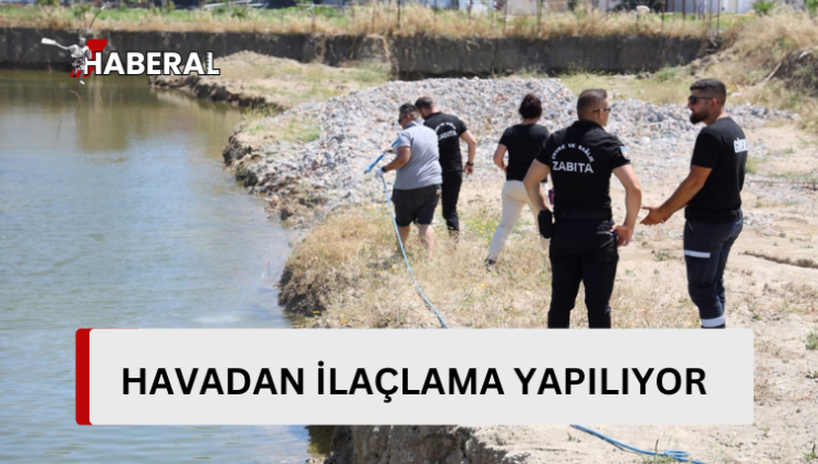 İskele Belediyesi, haşere ile mücadele kapsamında havadan ilaçlama yapıyor…