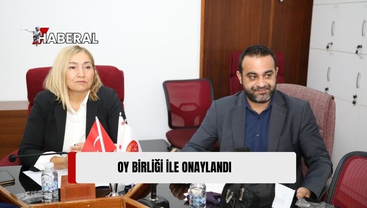 Cumhuriyet Meclisi, Hukuk, Siyasi İşler ve Dışilişkiler Komitesi Toplandı
