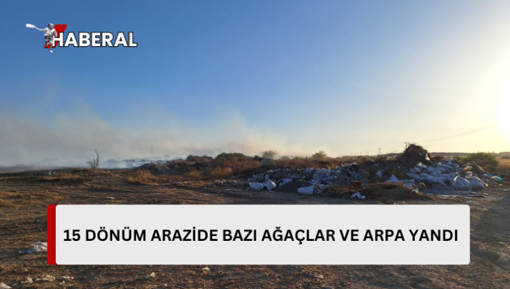 Ulukışla’daki yangın kontrol altına alındı… 15 dönüm arazide bazı ağaçlar ve arpa yandı..