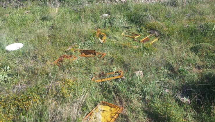 Malatya’da aç kalan ayılar arı kovanlarına saldırdı