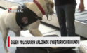 Ercan Havalimanı’nda dedektör köpek tepki verdi, uyuşturucu bulunduran iki kişi yakalandı