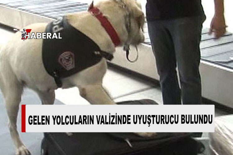 Ercan Havalimanı’nda dedektör köpek tepki verdi, uyuşturucu bulunduran iki kişi yakalandı