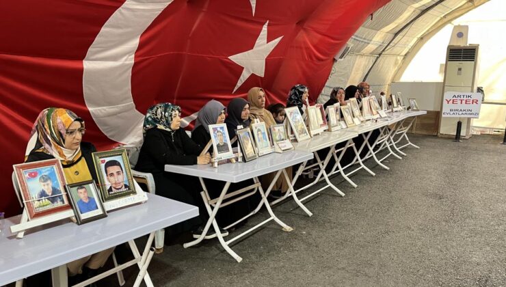 Diyarbakır anneleri, Anneler Günü’ne buruk girdi