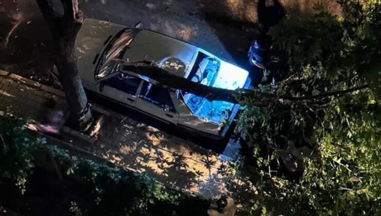 Elazığ’da fırtına: Ağaç, otomobilin üstüne devrildi