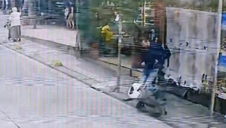 Pitbull cinsi köpek çevredekilere saldırdı