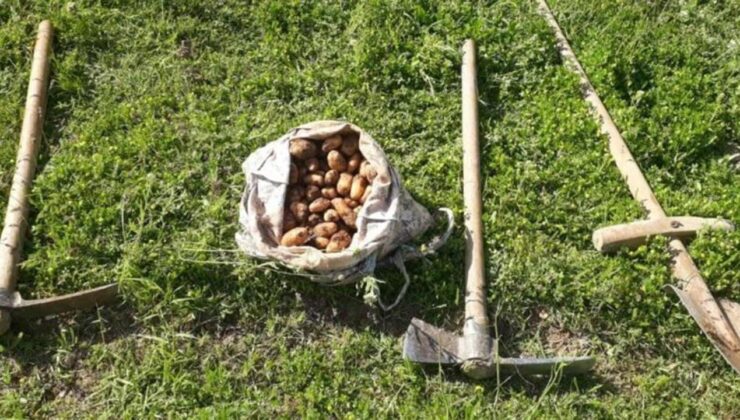 İzinsiz salep soğanı toplayan kişiye 387 bin 141 lira ceza