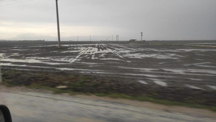 Konya’da sağanak: Tarım arazileri sular altında kaldı